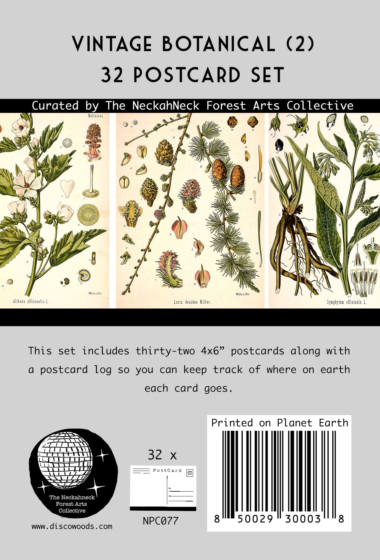 Botanical Postcard Pack(2) - Set of 32
