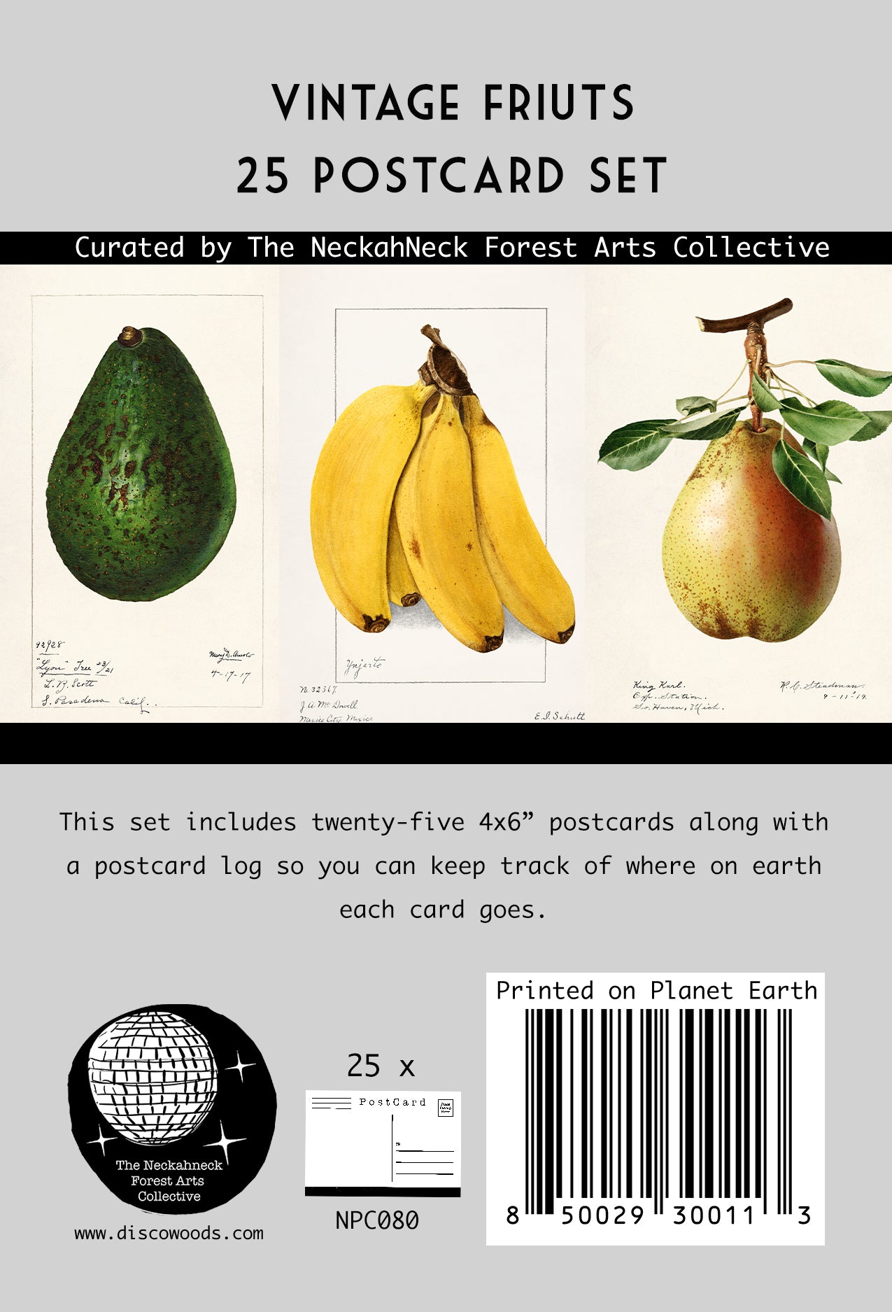 Vintage Fruits Postcards - Set of 25