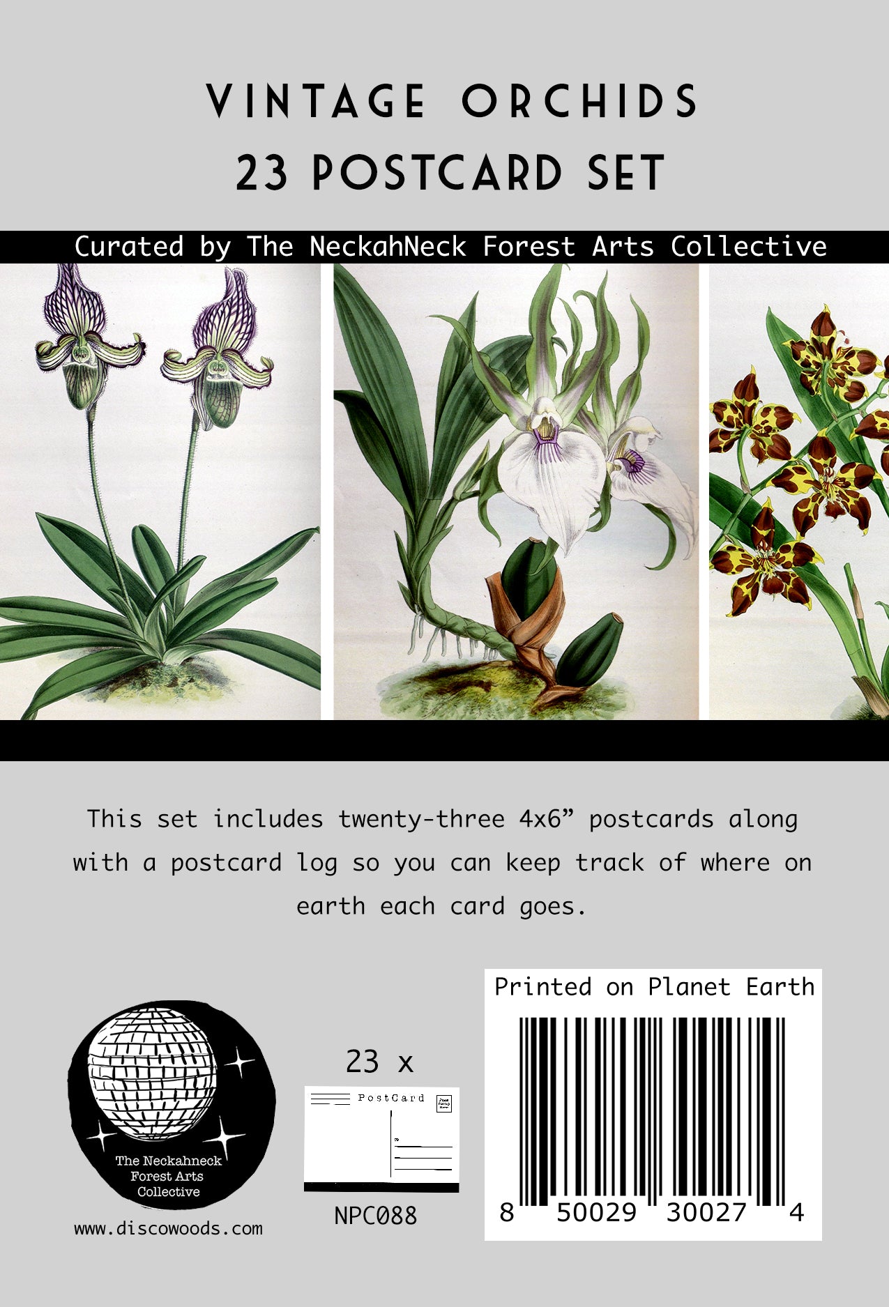 Vintage Orchid Postcards - Set of 23