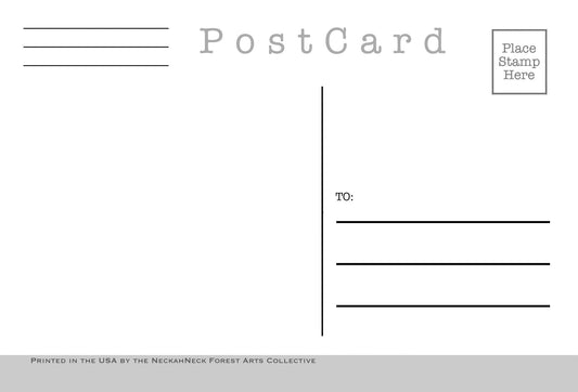 Vintage Fossils Postcards - Set of 26