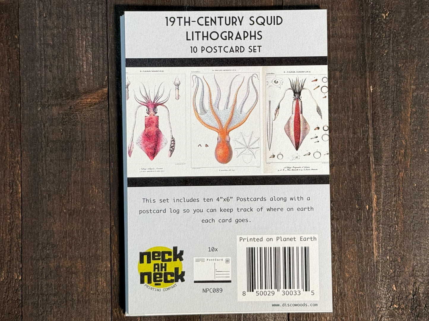 Squid Lithograph Postcards  - Set of 10