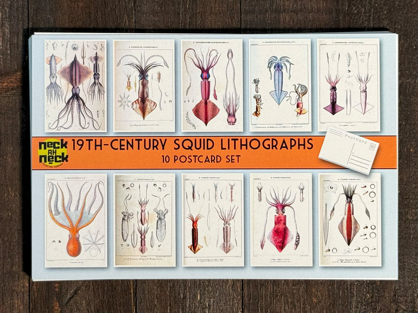 Squid Lithograph Postcards  - Set of 10
