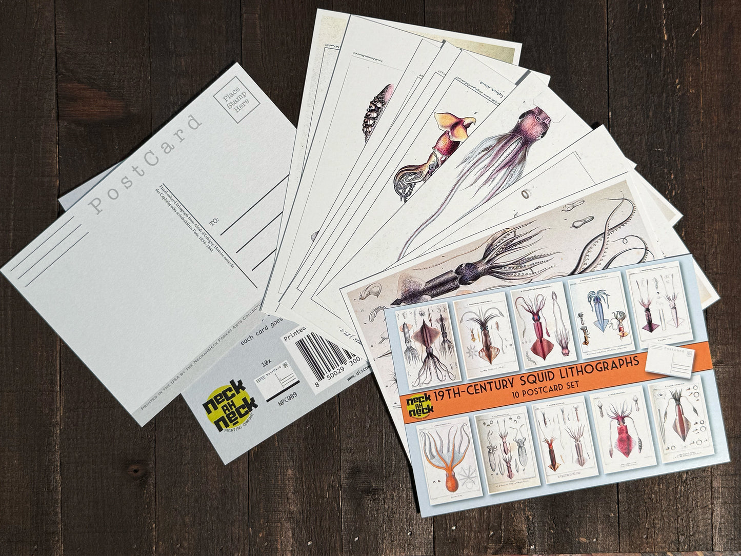 Squid Lithograph Postcards  - Set of 10