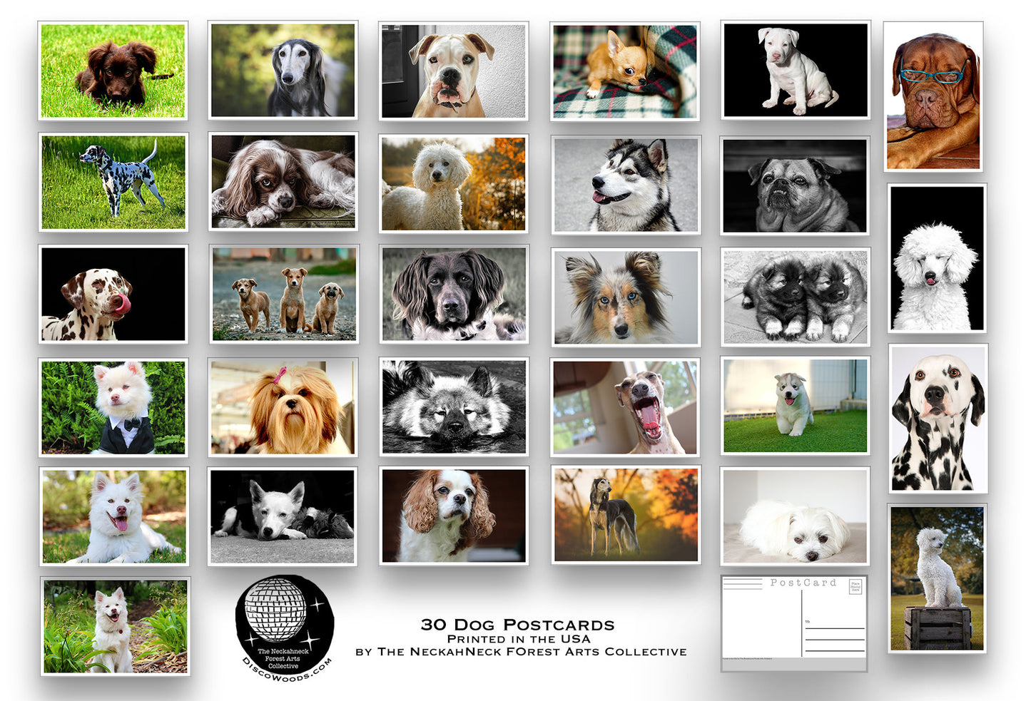 Dogs - Postcard set - 30 post cards - Dogs and Puppies - Scrapbooking - Letter Writing