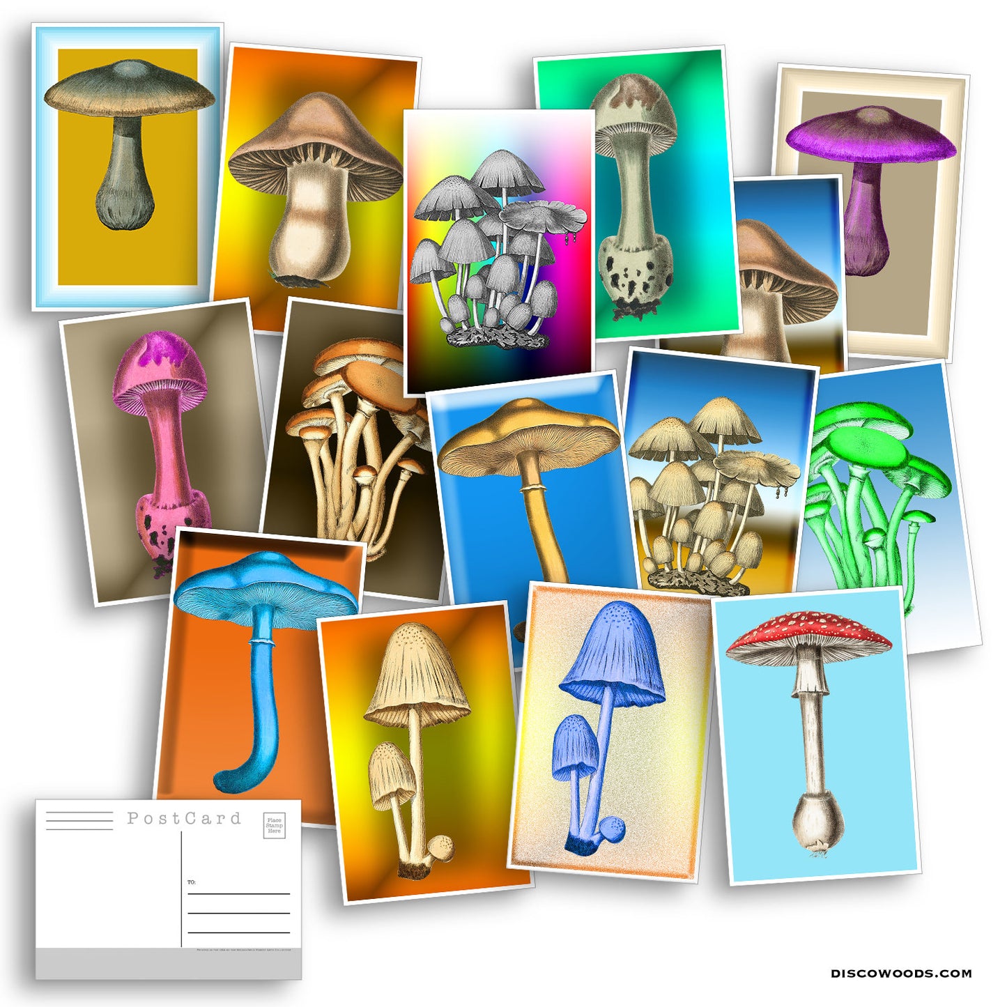 Magical Mushroom Postcard Set - 20 Postcards - Psychedelic - Nature - Scrapbooking Post Cards - Magic Mushrooms - Vintage illustrations
