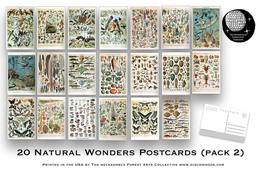 Natural Wonders Postcard Set(2) - Set of 20 Postcards - Vintage - Nature - Scrapbooking Post Cards great for collage