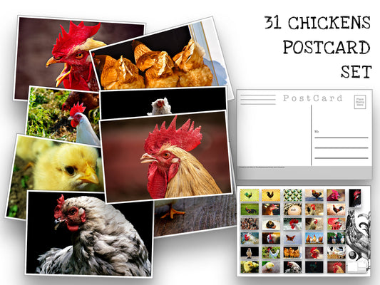 Chickens - Postcard set - 31 post cards - Chicken Art - Scrapbooking