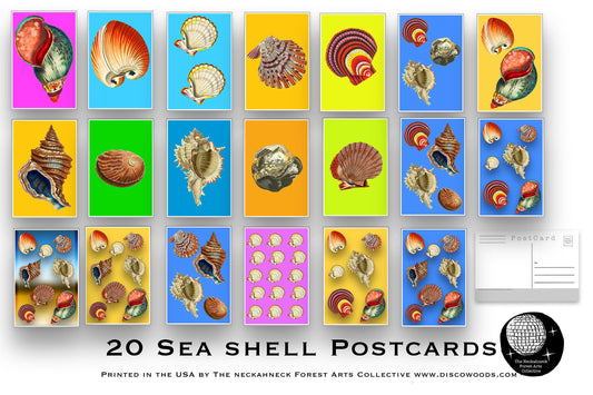 Seashell Postcard Set 20 Seashell Post Cards - Outdoors - Nature - Collage - Wall Art - Scrapbook