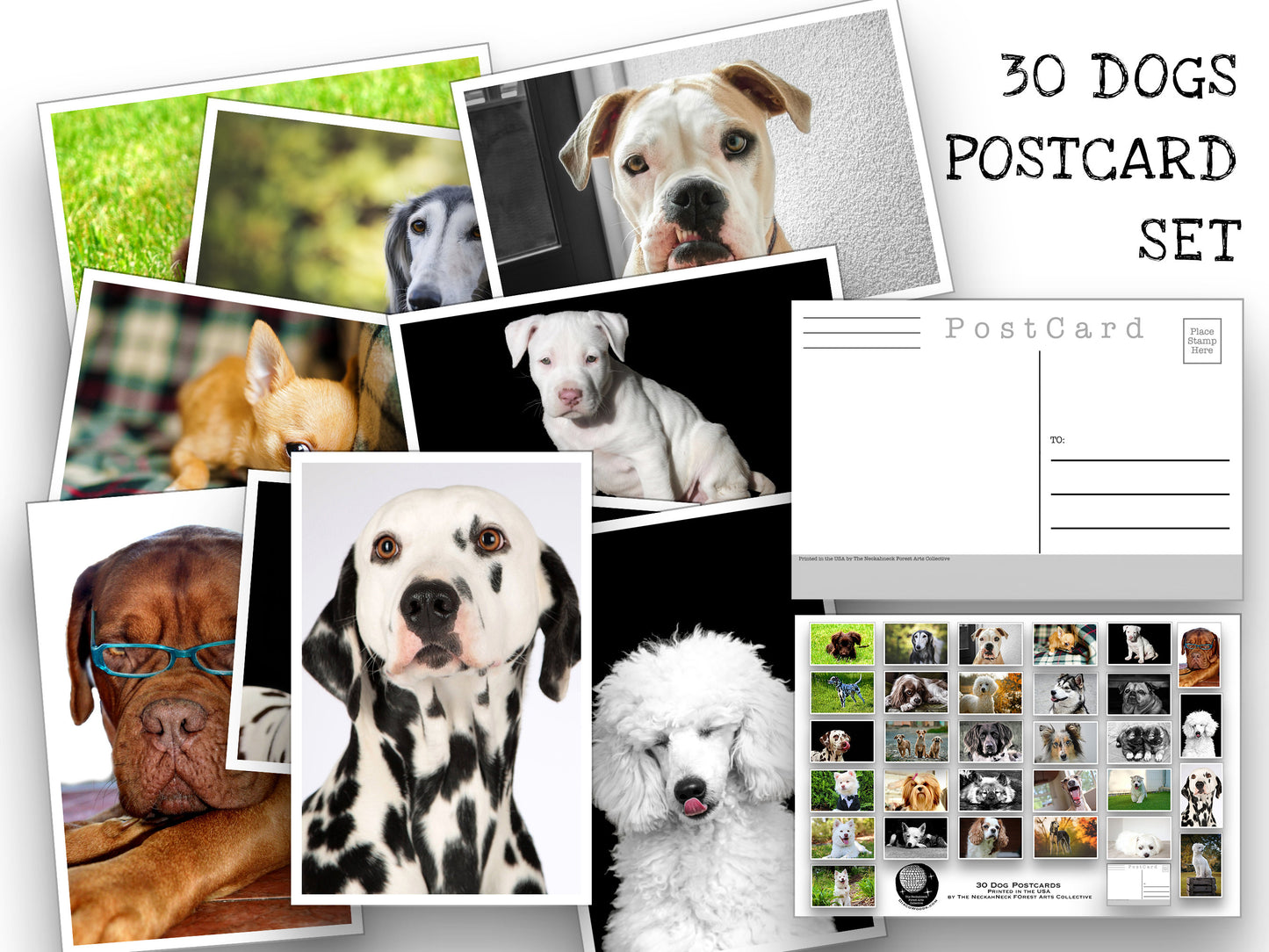 Dogs - Postcard set - 30 post cards - Dogs and Puppies - Scrapbooking - Letter Writing