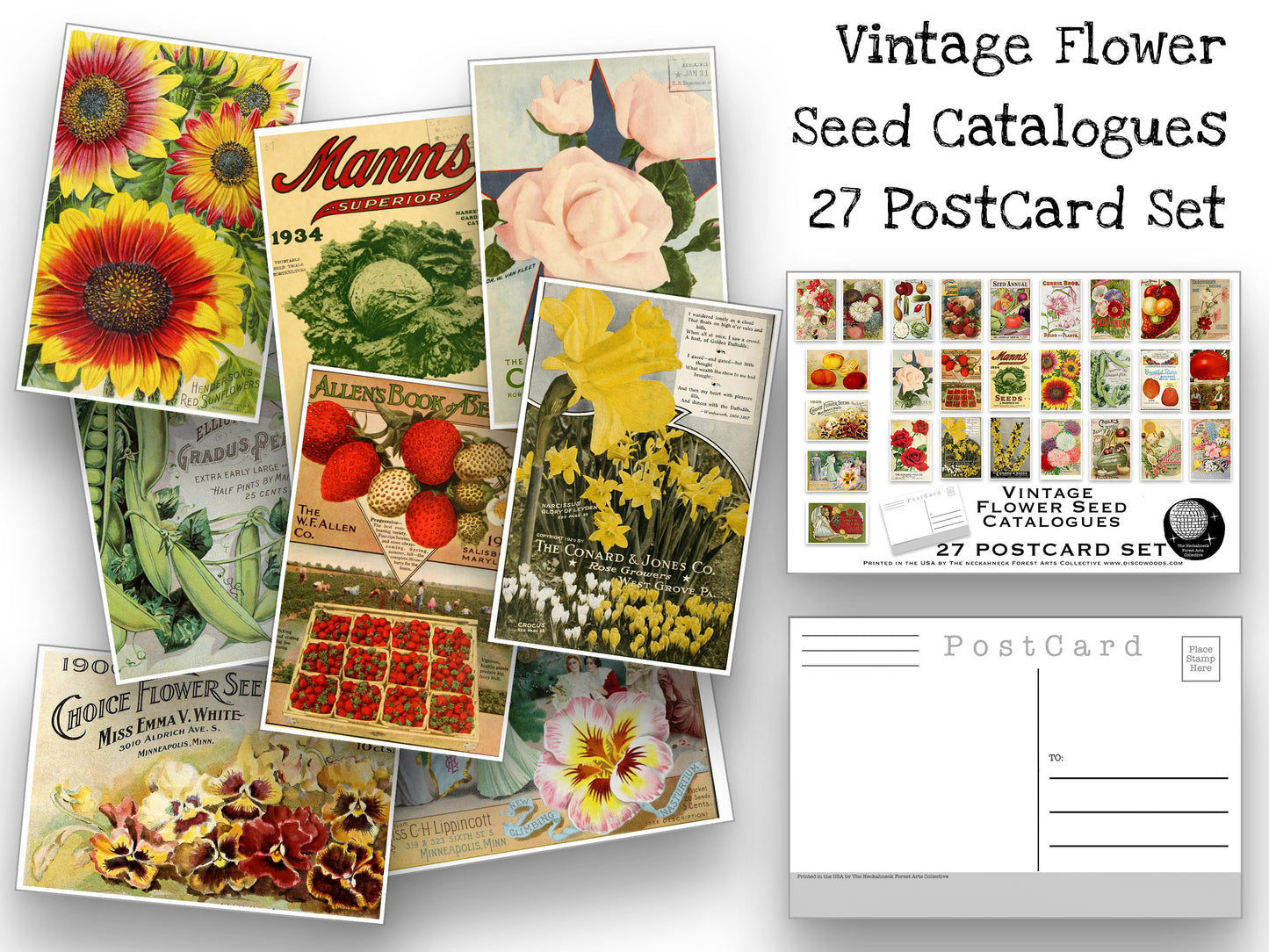 Vintage Seed Packet Postcard Set - Set of 27 Postcards - Vintage - Nature - Scrapbooking Post Cards - Flower Drawings - Natural Wonders