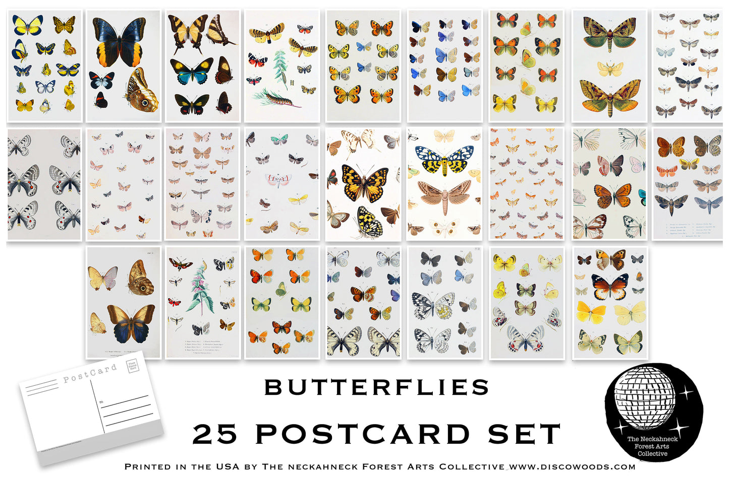 Butterfly Postcard Set - Set of 25 Postcards - Vintage butterfly Illustrations - Nature - Scrapbooking Post Cards - Natural Wonders