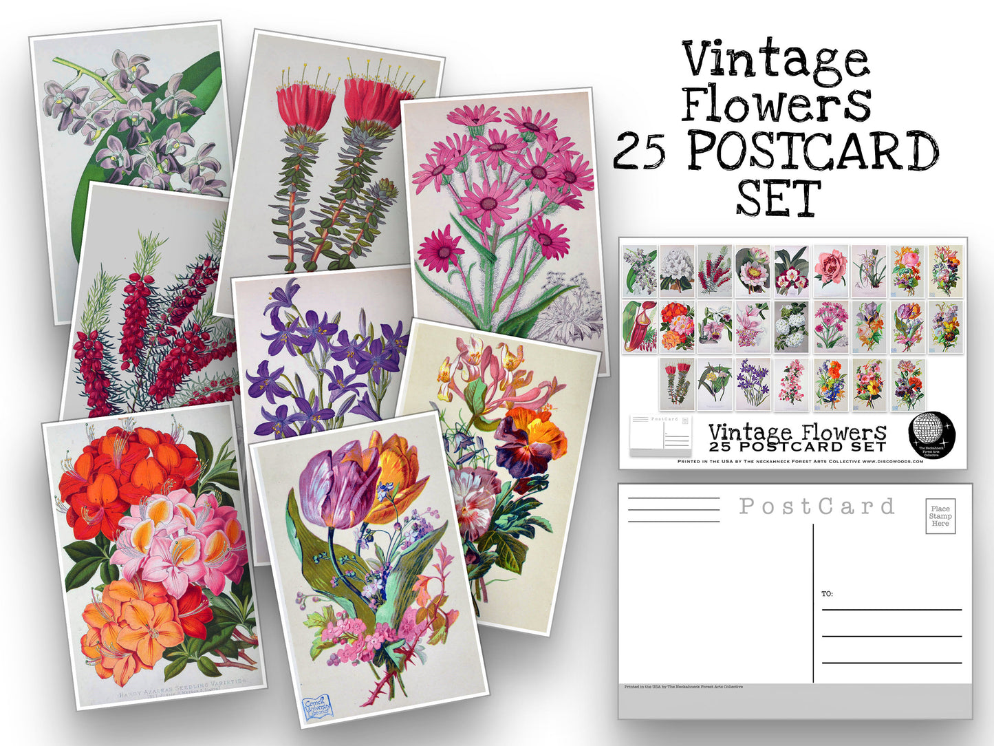 Vintage Flower Postcard Set - Set of 25 Postcards - Floral Illustrations - Nature - Scrapbooking Post Cards - Natural Wonders - botanical