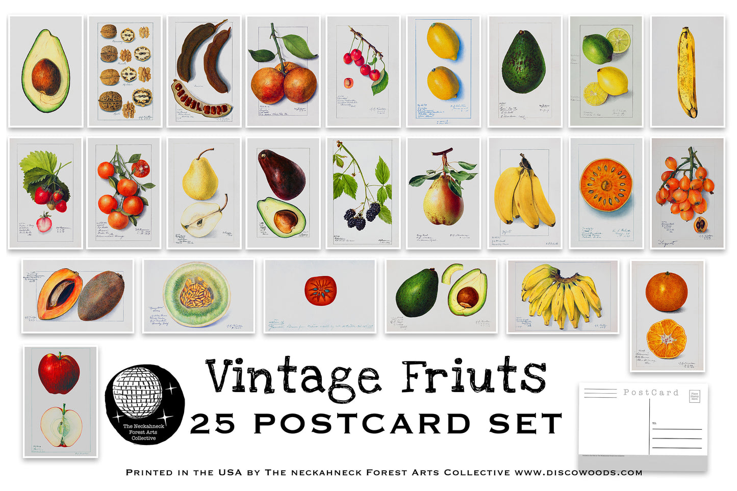 Vintage Fruits Postcard Set - Set of 25 Postcards - Vintage botany - Scrapbooking Post Cards - plant drawings - Natural Wonders - USDA Fruit