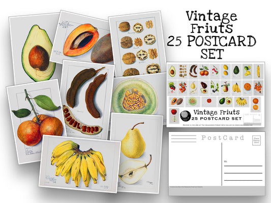 Vintage Fruits Postcard Set - Set of 25 Postcards - Vintage botany - Scrapbooking Post Cards - plant drawings - Natural Wonders - USDA Fruit